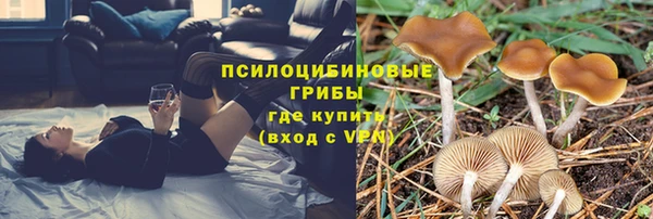 каннабис Алексеевка