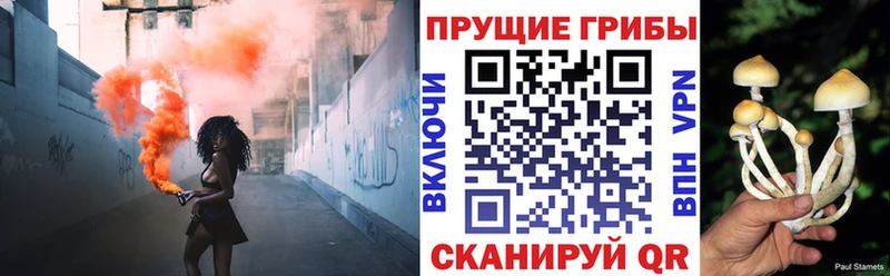 Галлюциногенные грибы MAGIC MUSHROOMS  МЕГА вход  Брянск 